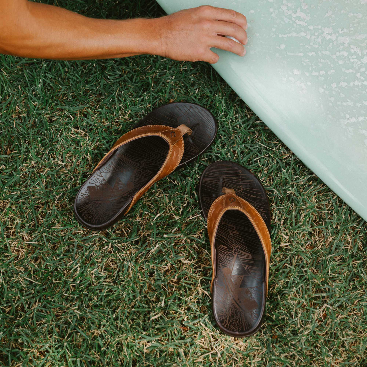 Hikianalia - Tan / Dark Java | Men OluKai discount