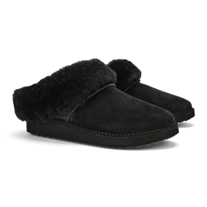 Lava Rock / Lava Rock